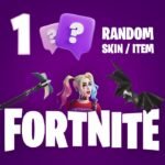 1 Random Fortnite Skin / Item Epic Games CD Key