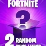 2 Random Fortnite Skins / Items Epic Games CD Key