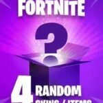 4 Random Fortnite Skins / Items Epic Games CD Key