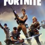 Fortnite Standard Founder's Pack Epic Games CD Key